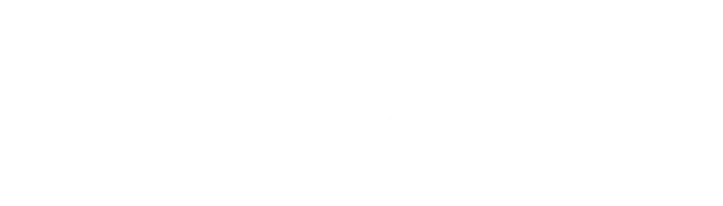 Logo Falconeri
