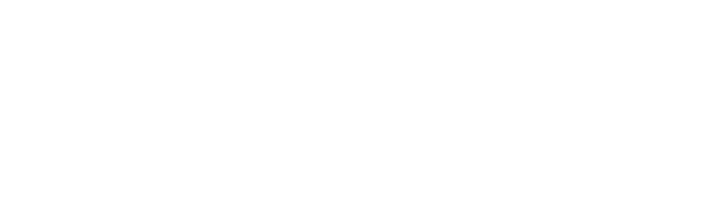 Logo Rivauto